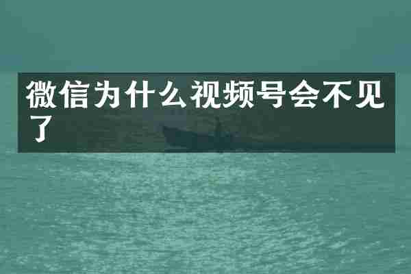 微信为什么视频号会不见了
