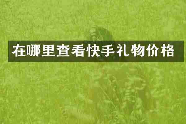 在哪里查看快手礼物价格
