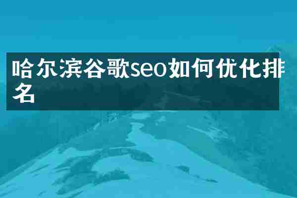 哈尔滨谷歌seo如何优化排名
