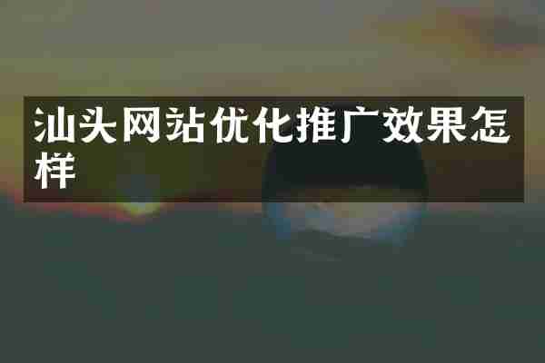 汕头网站优化推广效果怎样