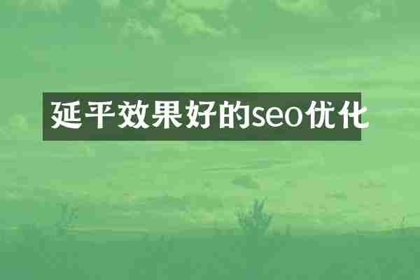 延平效果好的seo优化