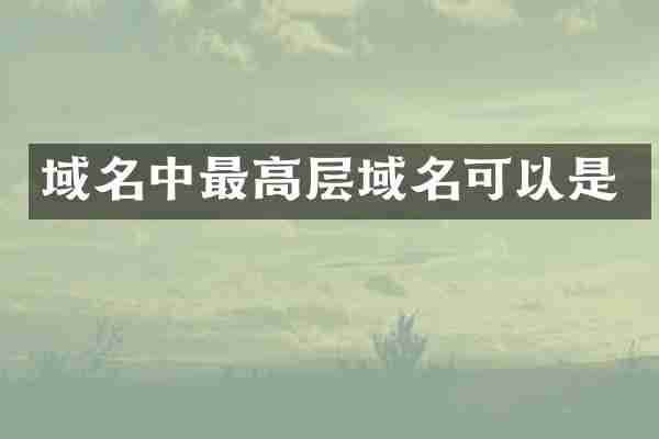 域名中最高层域名可以是