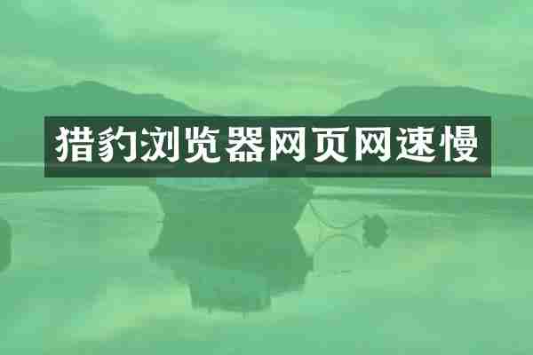 猎豹浏览器网页网速慢