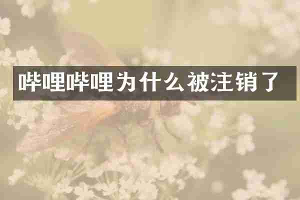 哔哩哔哩为什么被注销了