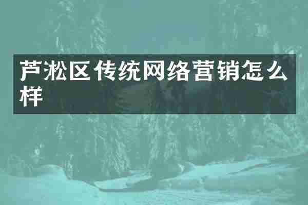 芦淞区传统网络营销怎么样