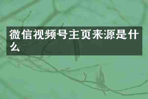 微信视频号主页来源是什么