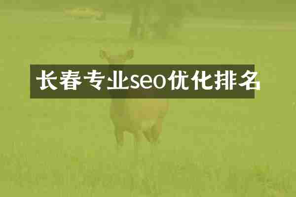 长春专业seo优化排名