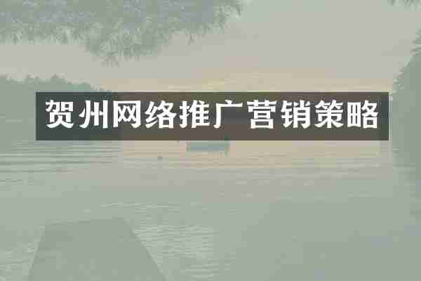 贺州网络推广营销策略
