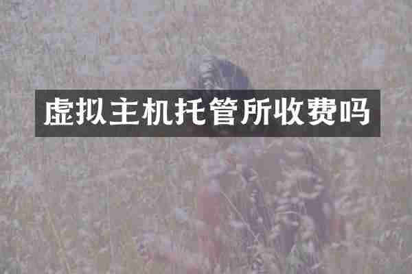 虚拟主机托管所收费吗