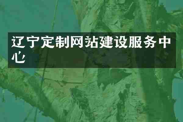 辽宁定制网站建设服务中心