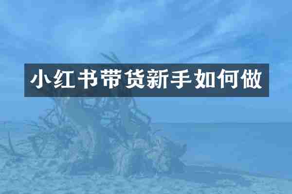 小红书带货新手如何做