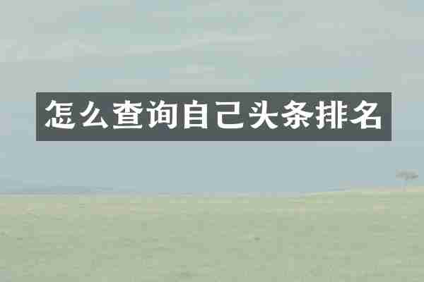 怎么查询自己头条排名