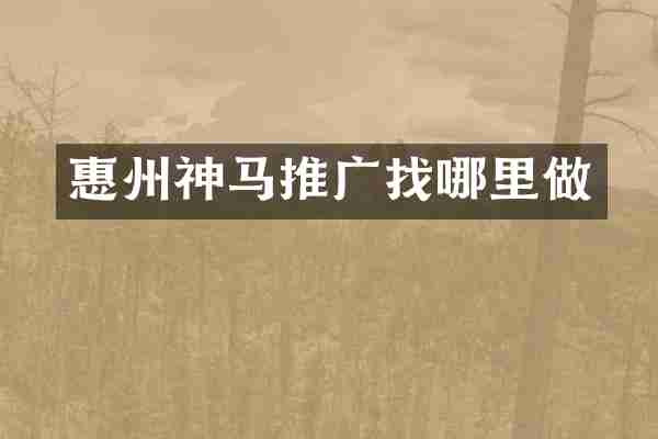 惠州神马推广找哪里做