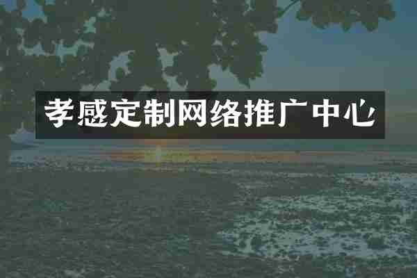 孝感定制网络推广中心