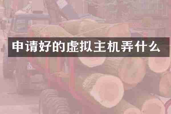 申请好的虚拟主机弄什么
