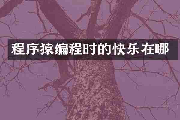 程序猿编程时的快乐在哪