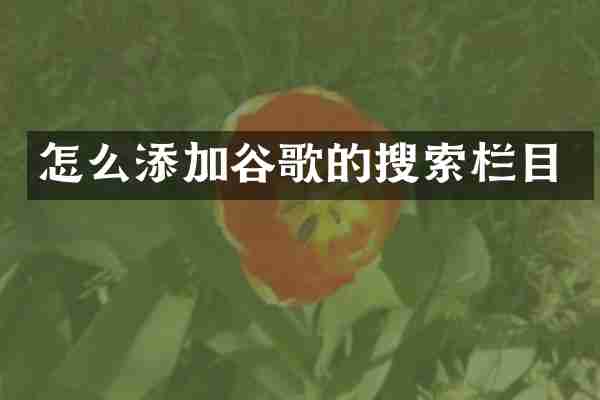 怎么添加谷歌的搜索栏目