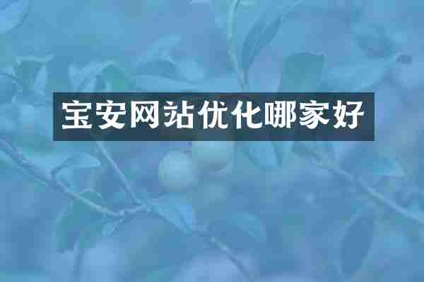 宝安网站优化哪家好