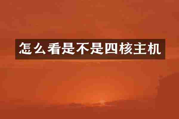 怎么看是不是四核主机