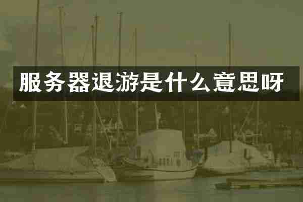 服务器退游是什么意思呀