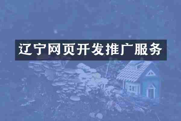 辽宁网页开发推广服务