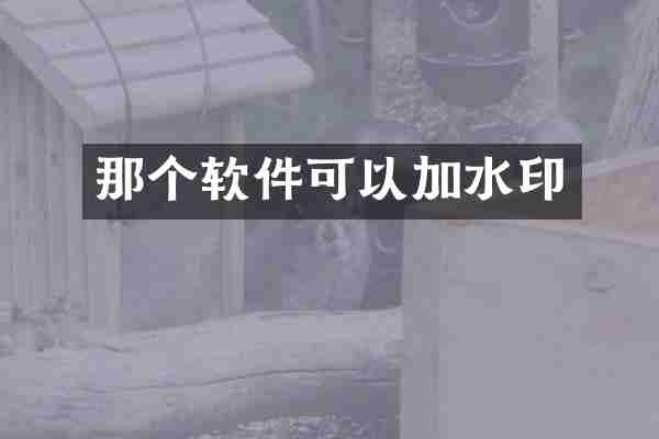 那个软件可以加水印