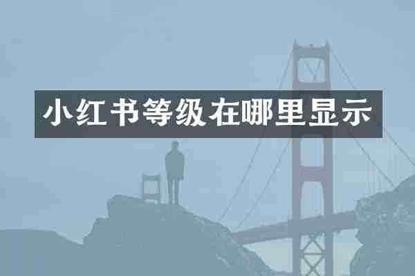 小红书等级在哪里显示