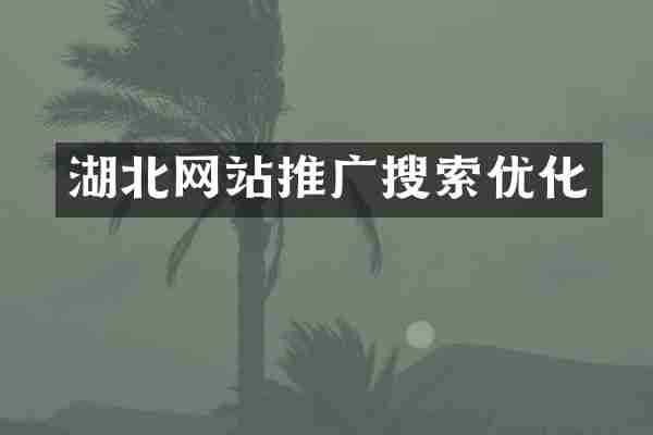 湖北网站推广搜索优化