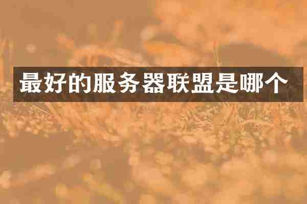 最好的服务器联盟是哪个