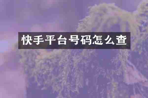 快手平台号码怎么查