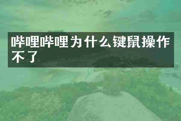 哔哩哔哩为什么键鼠操作不了