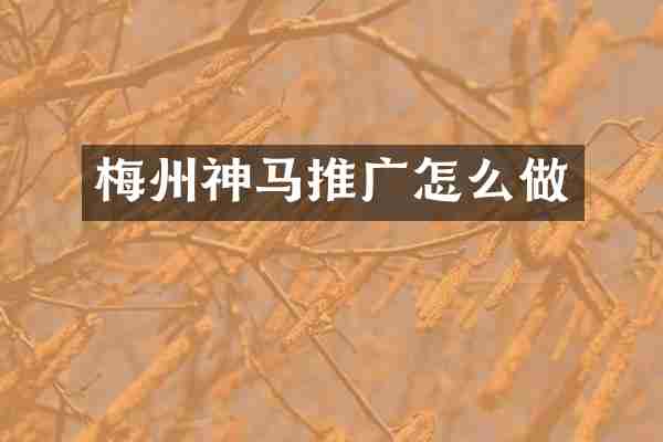 梅州神马推广怎么做