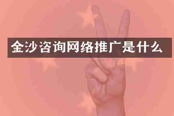 金沙咨询网络推广是什么
