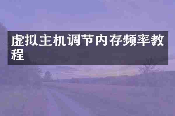 虚拟主机调节内存频率教程
