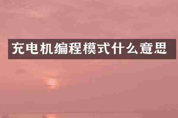 充电机编程模式什么意思