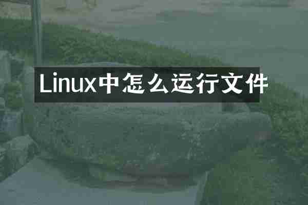 Linux中怎么运行文件
