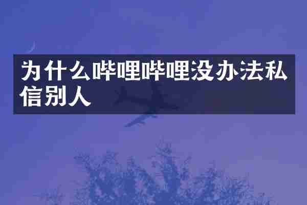 为什么哔哩哔哩没办法私信别人