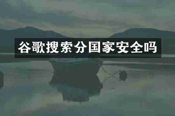 谷歌搜索分国家安全吗