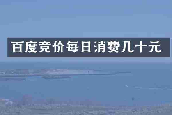 百度竞价每日消费几十元