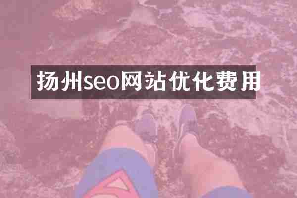 扬州seo网站优化费用
