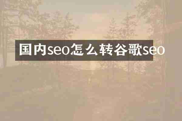 国内seo怎么转谷歌seo