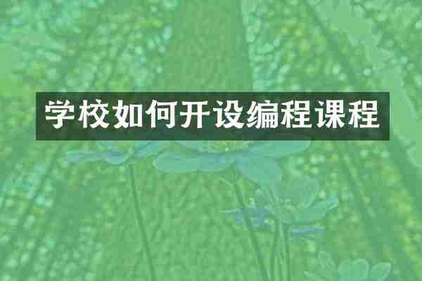 学校如何开设编程课程