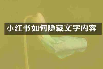 小红书如何隐藏文字内容