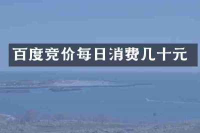 百度竞价每日消费几十元