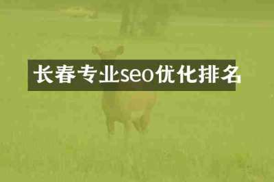 长春专业seo优化排名