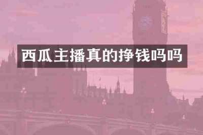 西瓜主播真的挣钱吗吗