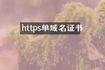 https单域名证书