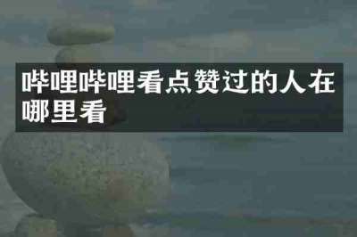 哔哩哔哩看点赞过的人在哪里看