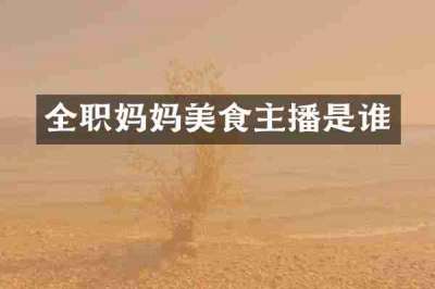 全职妈妈美食主播是谁