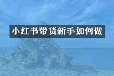 小红书带货新手如何做